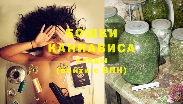 ГАЛЛЮЦИНОГЕННЫЕ ГРИБЫ Инсар