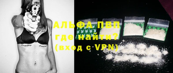 ГАЛЛЮЦИНОГЕННЫЕ ГРИБЫ Инсар