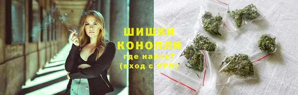 ГАЛЛЮЦИНОГЕННЫЕ ГРИБЫ Инсар