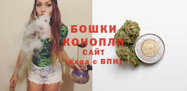 ГАЛЛЮЦИНОГЕННЫЕ ГРИБЫ Инсар