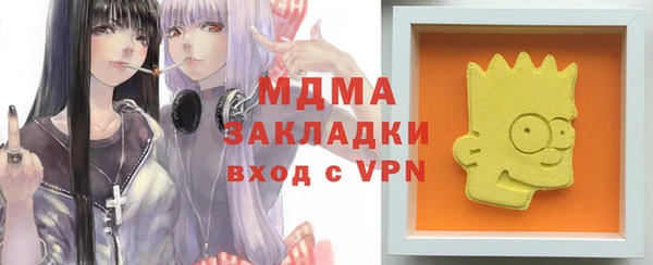 ГАЛЛЮЦИНОГЕННЫЕ ГРИБЫ Инсар