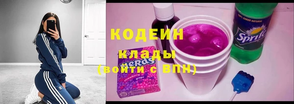 ГАЛЛЮЦИНОГЕННЫЕ ГРИБЫ Инсар