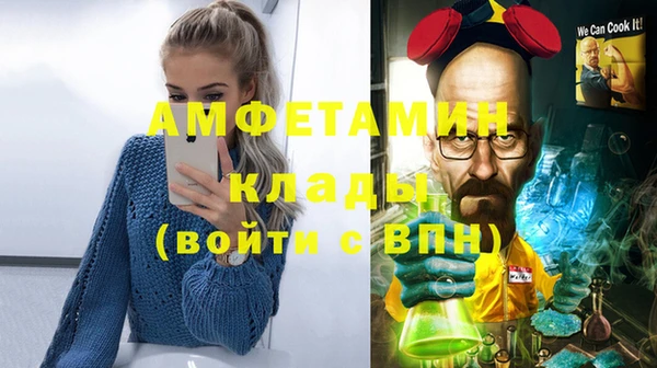 ГАЛЛЮЦИНОГЕННЫЕ ГРИБЫ Инсар