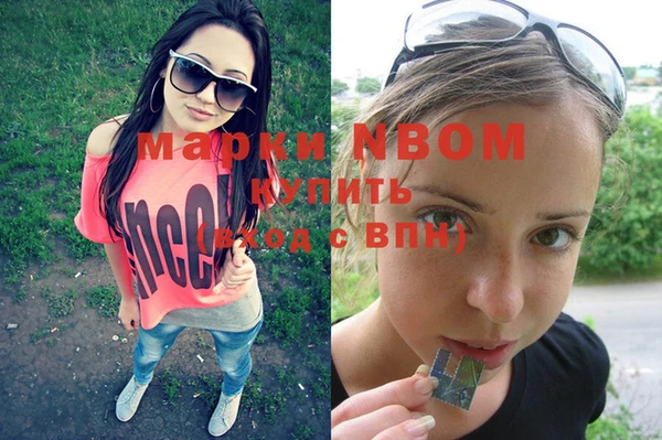 ГАЛЛЮЦИНОГЕННЫЕ ГРИБЫ Инсар