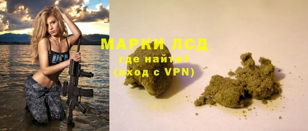 ГАЛЛЮЦИНОГЕННЫЕ ГРИБЫ Инсар